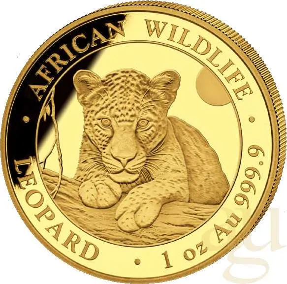 1 Unze Goldmünze Somalia African Wildlife Leopard 2025