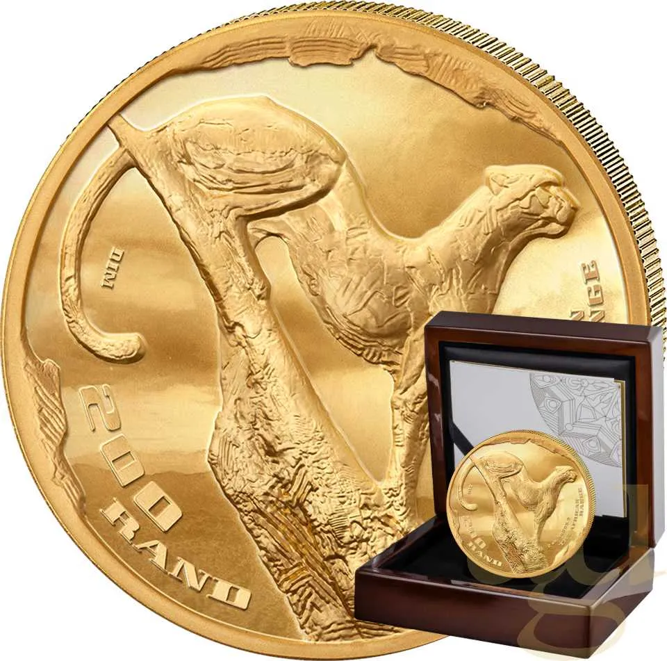 2 Unzen Goldmünze Südafrika The African Range Gepard 2026 - High Relief