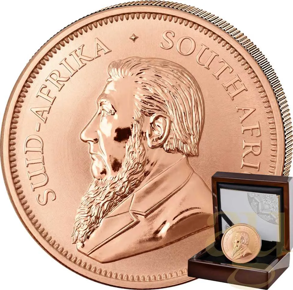 1/2 Unze Goldmünze Krügerrand 2026 - Reverse polierte Platte