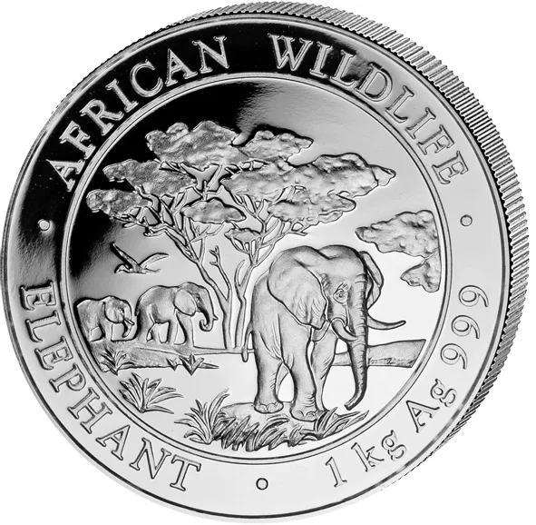 1 Kilogramm Silbermünze Somalia Elefant 2012