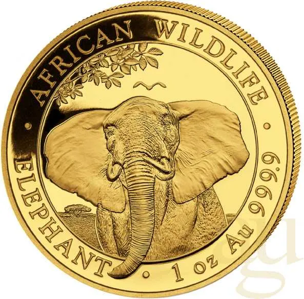1 Unze Goldmünze Somalia Elefant 2021