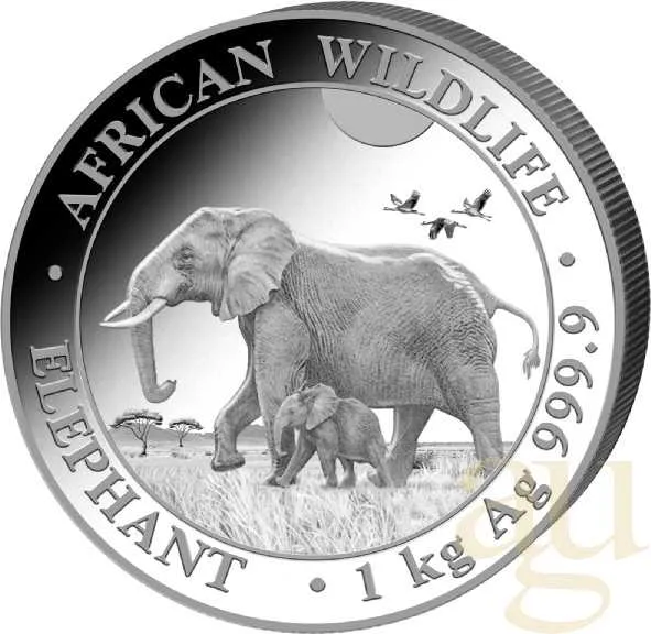 1 Kilogramm Silbermünze Somalia Elefant 2022