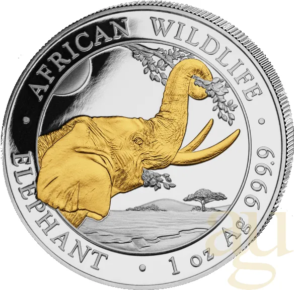 1 Unze Silbermünze Somalia Elefant 2023 - teilvergoldet