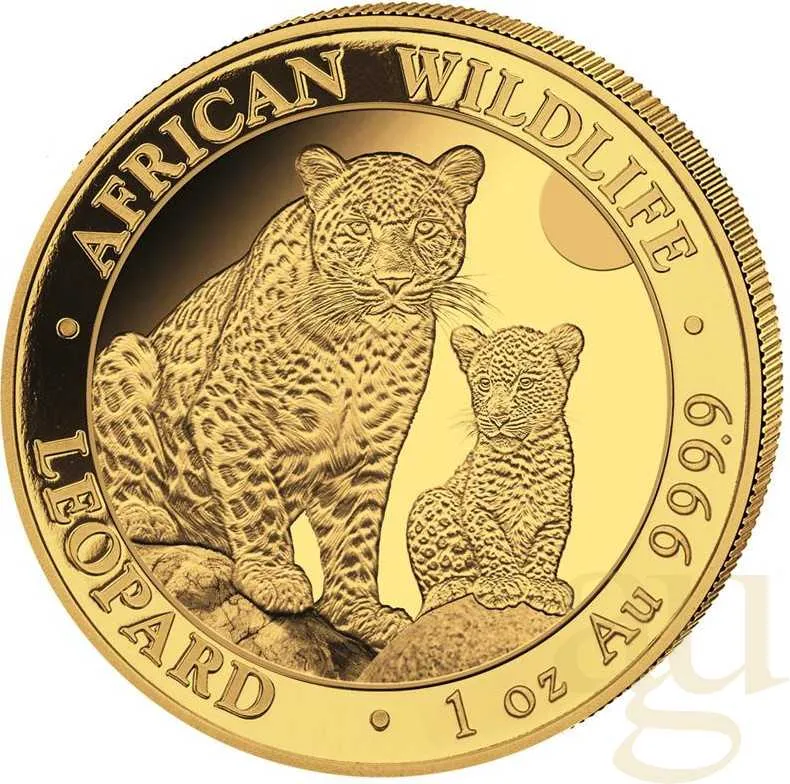 1 Unze Goldmünze Somalia African Wildlife Leopard 2024