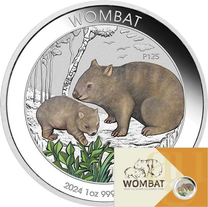 1 Unze Silbermünze Australien Wombat 2024 coloriert - Coincard