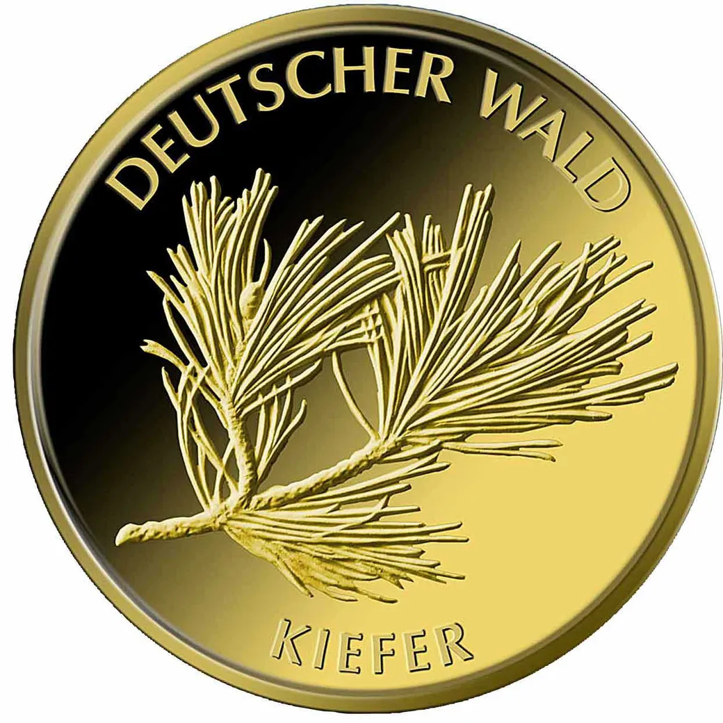 20 Euro Goldmünze Deutscher Wald - Kiefer 2013 (A)