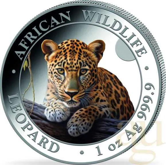 1 Unze Silbermünze Somalia African Wildlife Leopard 2025 - coloriert