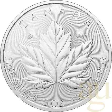 5 Unzen Silbermünze Maple Leaf 2026