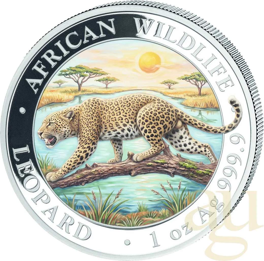 1 Unze Silbermünze Somalia African Wildlife Leopard 2026 - coloriert