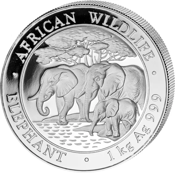1 Kilogramm Silbermünze Somalia Elefant 2013