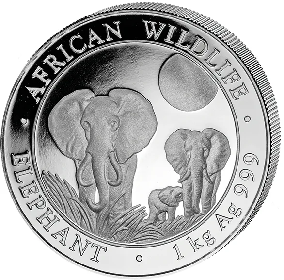 1 Kilogramm Silbermünze Somalia Elefant 2014
