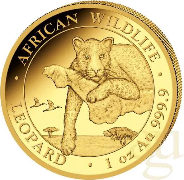 1 Unze Goldmünze Somalia African Wildlife Leopard 2020