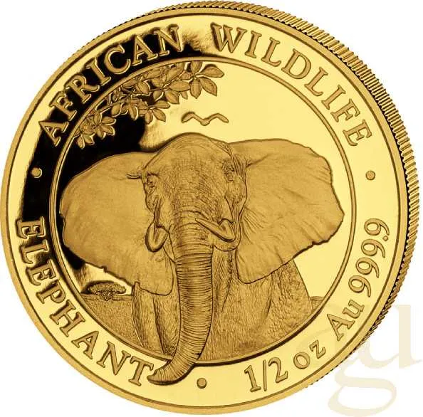 1/2 Unze Goldmünze Somalia Elefant 2021