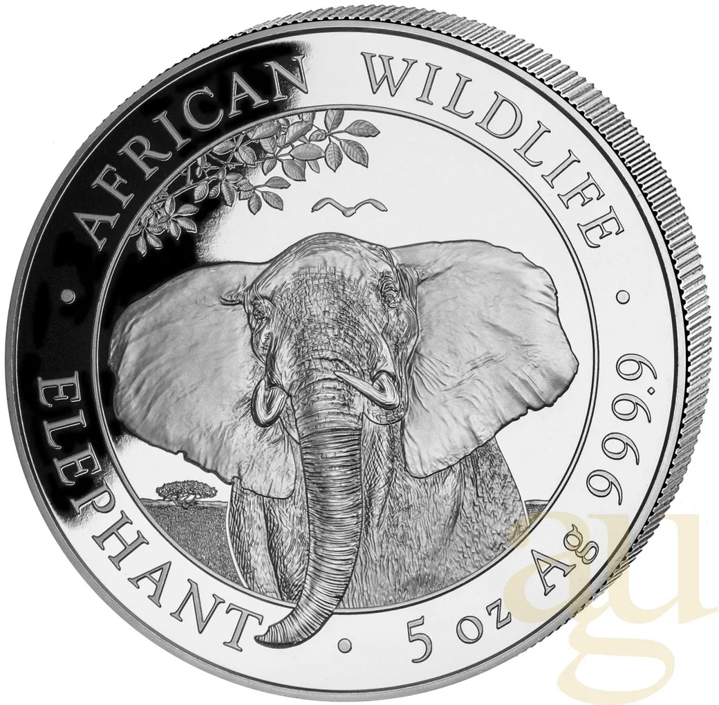 5 Unzen Silbermünze Somalia Elefant 2021