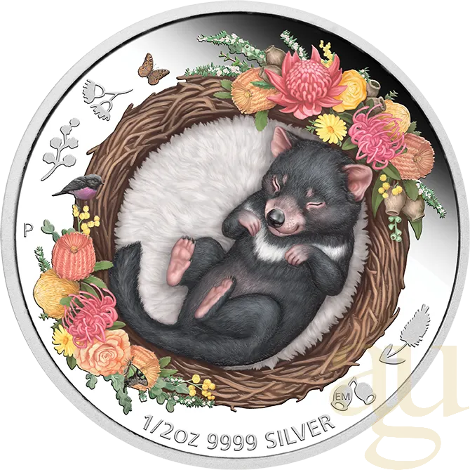 1/2 Unze Silbermünze Australien Dreaming Down Under - Tasmanian Devil 2021 - proof color