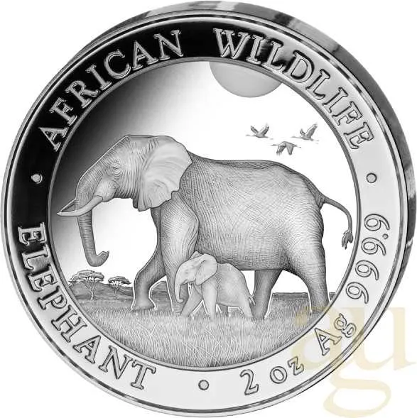 2 Unzen Silbermünze Somalia Elefant 2022