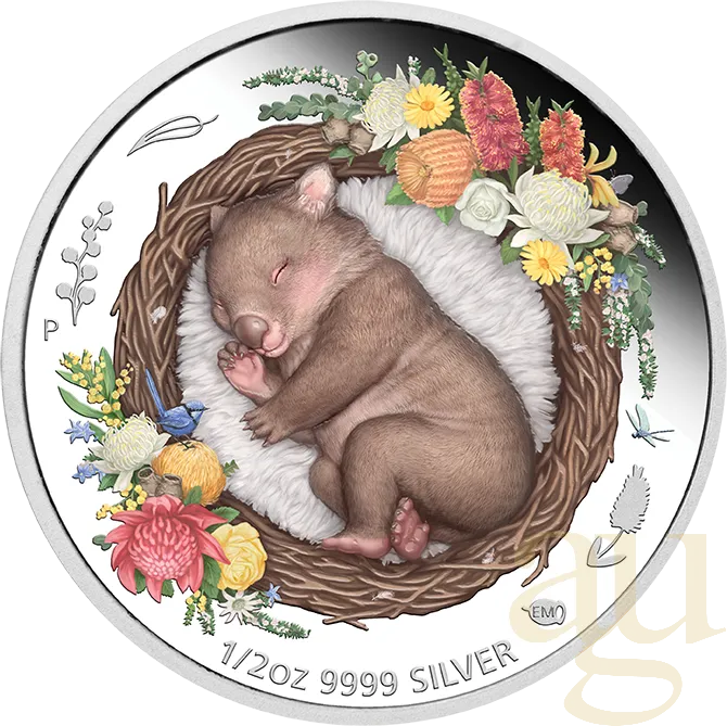 1/2 Unze Silbermünze Australien Dreaming Down Under - Wombat 2021 - proof color