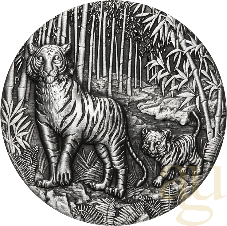 2 Unzen Silbermünze Australien Lunar III Tiger 2022 Antik Finish