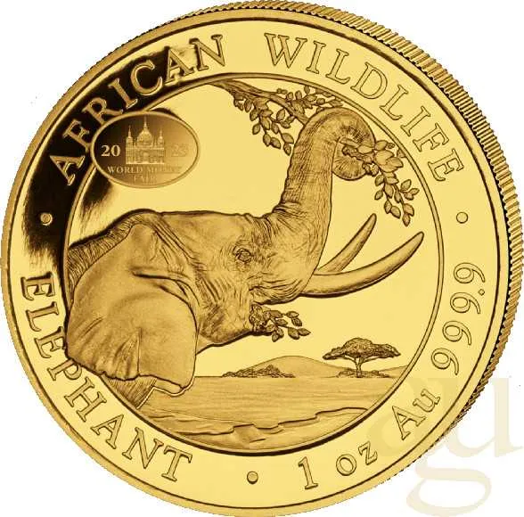 1 Unze Goldmünze Somalia Elefant 2023 - WMF Berlin
