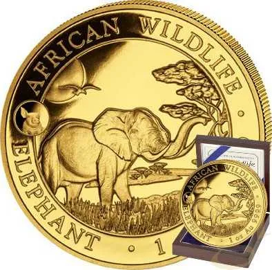 1 Unze Goldmünze Somalia Elefant 2019 - Privy Mark Schwein