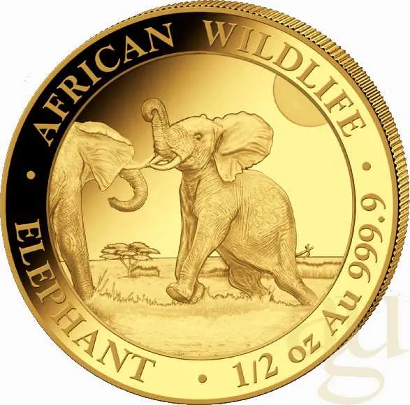 1/2 Unze Goldmünze Somalia Elefant 2024
