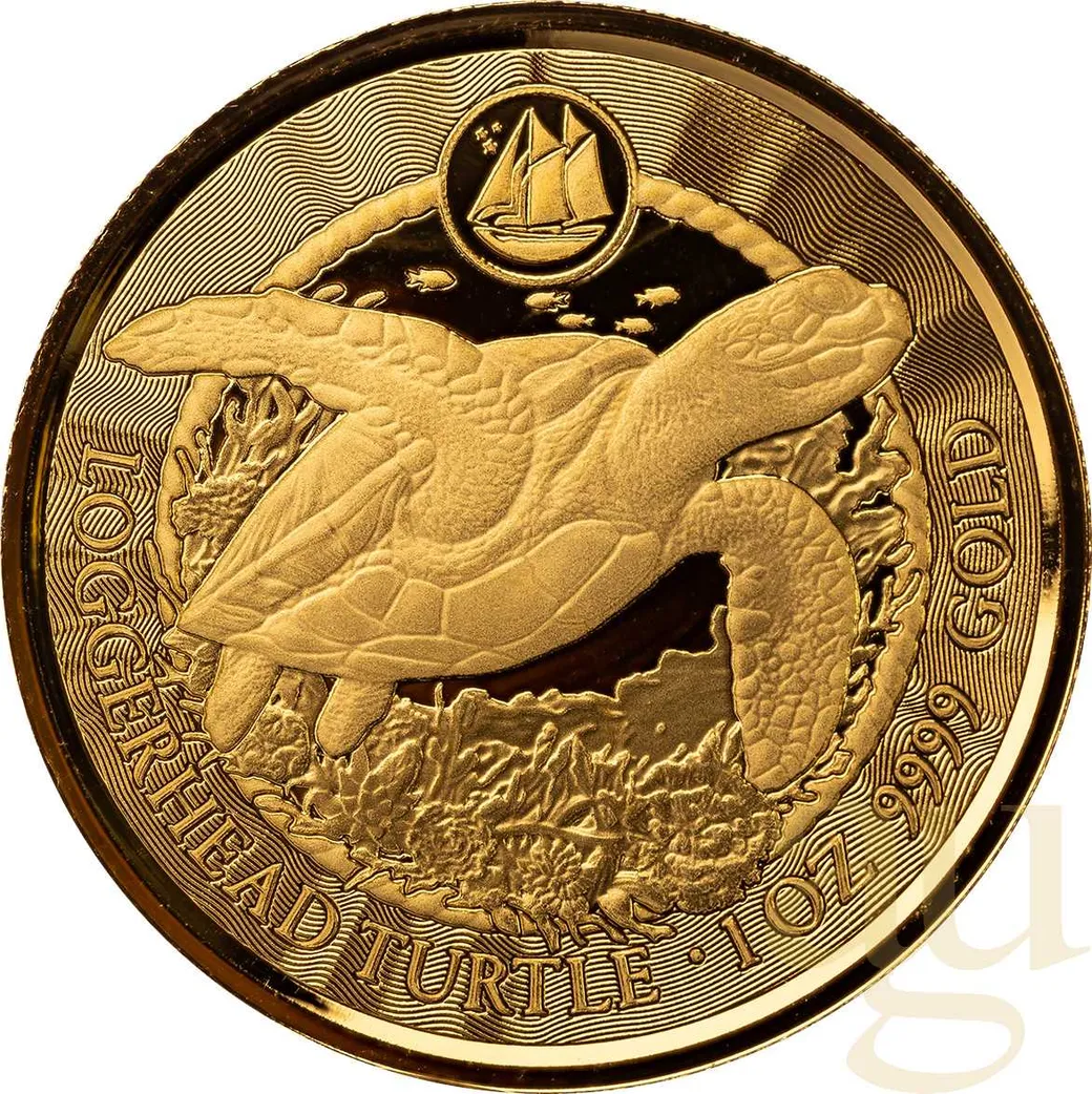 1 Unze Goldmünze Cayman Islands Schildkröte 2023