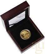 1 Unze Goldmünze Südafrika Big Five Elefant 2024 proof