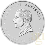 1/4 Unze Silbermünze Australien Lunar III Schlange 2025 ANDA Special - coloriert