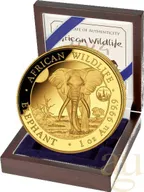 1 Unze Goldmünze Somalia Elefant 2024 - ANA Chicago