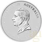 1 Unze Silbermünze Australien Lunar III Schlange 2025