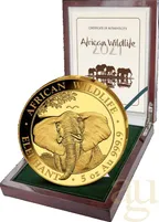 5 Unzen Goldmünze Somalia Elefant 2021 - polierte Platte