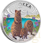 1 Unze Silbermünze Australien Quokka 2025 - coloriert