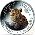 1 Unze Silbermünze Somalia African Wildlife Leopard 2025 - coloriert