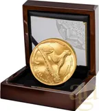 1 Unze Goldmünze Südafrika The African Range Gepard 2026 - High Relief