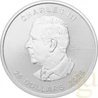 5 Unzen Silbermünze Maple Leaf 2026