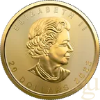 1/2 Unze Goldmünze Maple Leaf 2022
