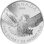 1 Unze Silbermünze Kanada Birds of Prey - Great Horned Owl - Eule 2015