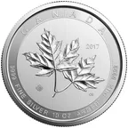 10 Unzen Silbermünze Kanada Magnificent Maple Leaf 2017
