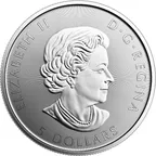 1 Unze Silbermünze Kanada 150 Jahre Voyageur 2017
