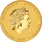 1/10 Unze Goldmünze Australien Lunar II Schwein 2019