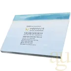 1 Gramm Platinmünze China Panda 2022