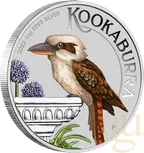 1 Unze Silbermünze Australien Kookaburra 2022 - coloriert