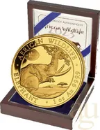 1 Unze Goldmünze Somalia Elefant 2023 - WMF Berlin