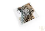 1 Unze Silbermünze Südafrika Big Five Leopard 2023