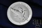 10 Unzen Silbermünze Australien Wedge Tailed Eagle 2023 - Incused Coin