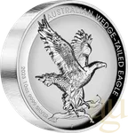 10 Unzen Silbermünze Australien Wedge Tailed Eagle 2023 - Incused Coin