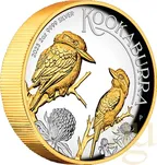 2 Unzen Silbermünze Australien Kookaburra 2023 teilvergoldet - polierte Platte