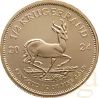 1/2 Unze Goldmünze Krügerrand 2024