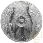 1 Unze Silbermünze Südafrika Big Five Elefant 2024