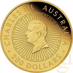 2 Unzen Goldmünze Australien Great Southern Land Mother of Pearl 2024 - polierte Platte